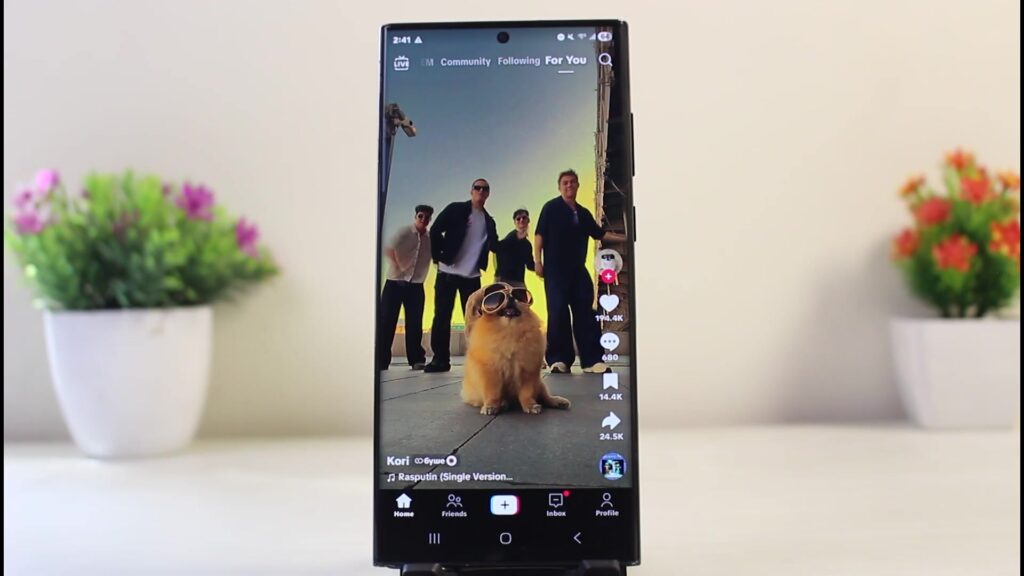 Smartphone met de TikTok-app geopend op de For You-feed tussen twee planten